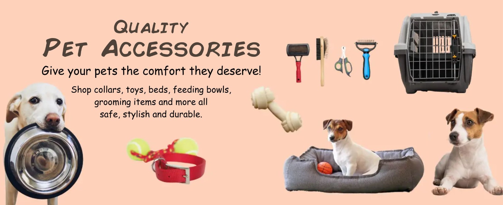 WhatsApp Image 2025-11-28 at 10.50.29 AM